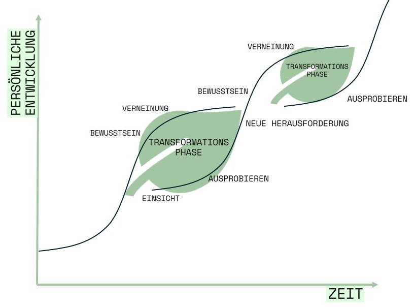 Doppelte S-Kurve – Transformationsmodell